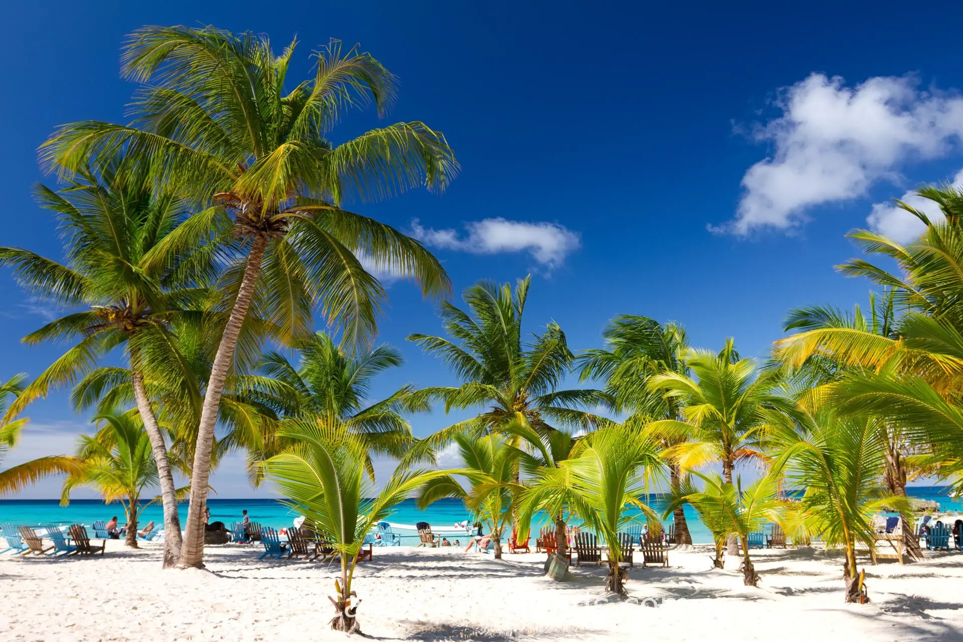 Relaxing tropical beach