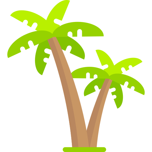 Palmera